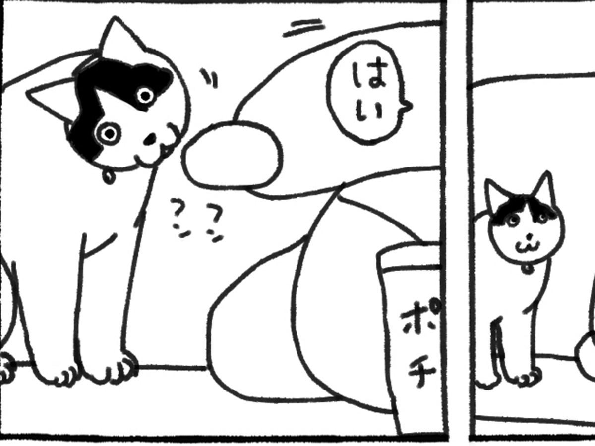 猫の漫画の画像