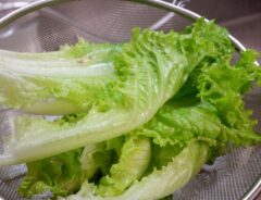 野菜の水切り、どうしてる？　便利なアイテムに「手軽！」「洗い物が増えない」