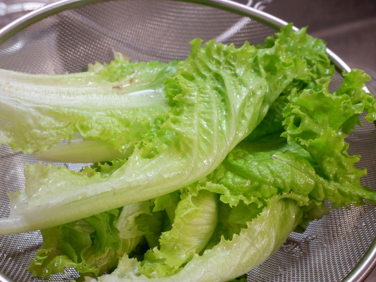 ザルに入った葉物野菜