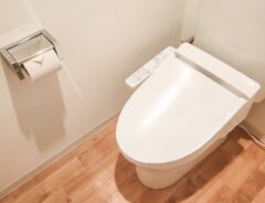 トイレ洗浄の大と小　どう使い分ける？　企業の解説に「疑問が解消」「なるほど」