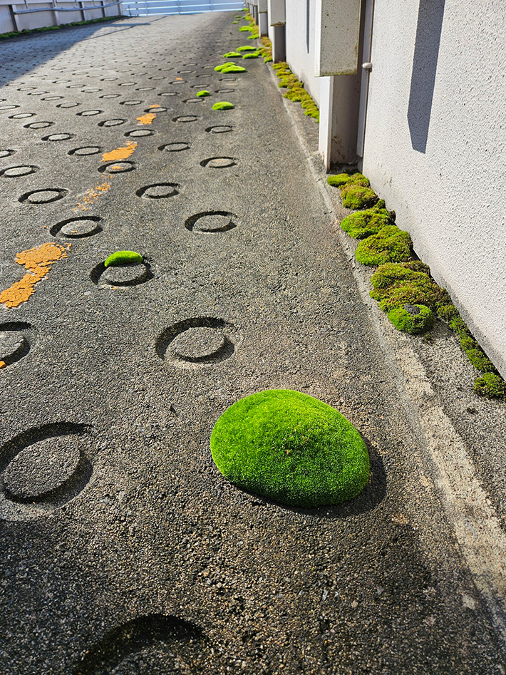 地面の写真