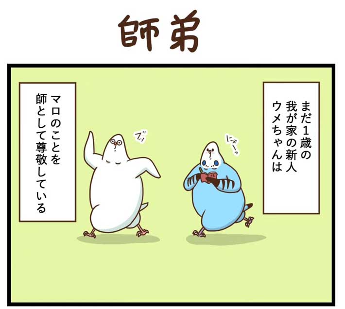 タクセニョリータさんの漫画