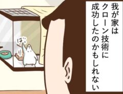 タクセニョリータさんの漫画