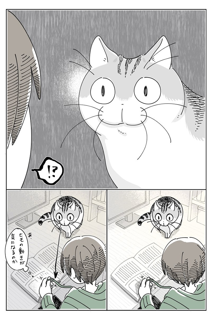 キュルZさんの漫画の画像