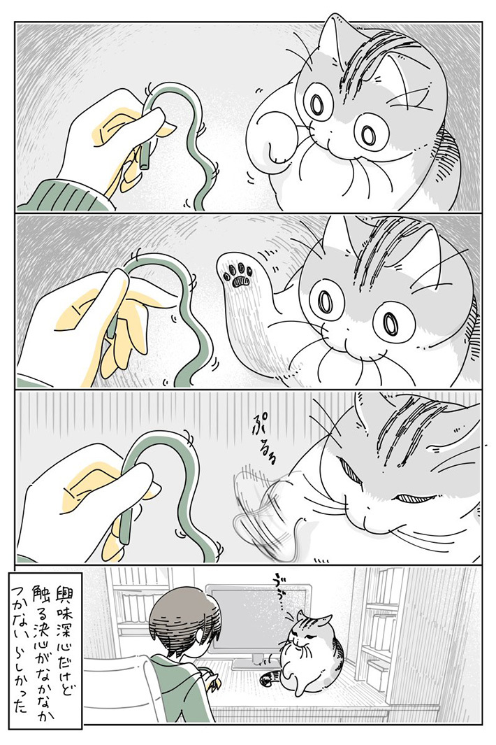 キュルZさんの漫画の画像