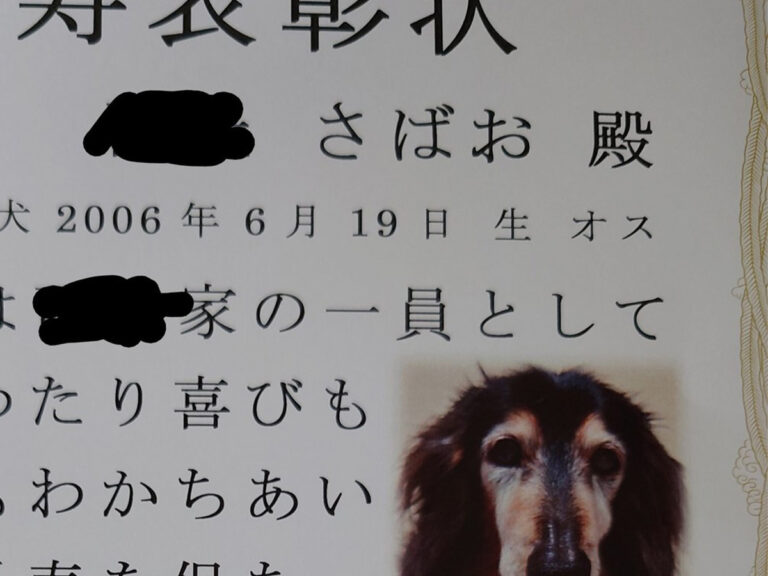 もらった オファー ペット 元飼い主が