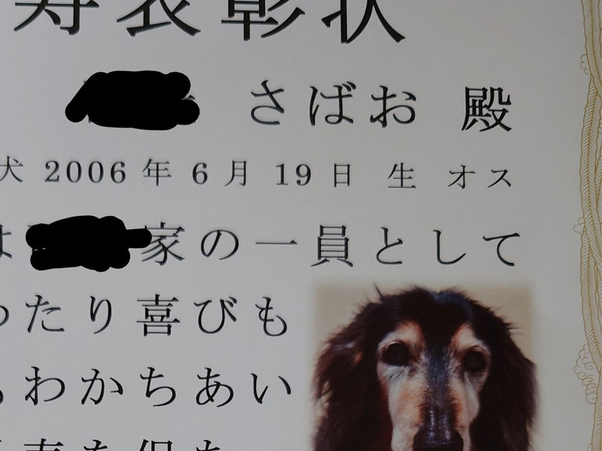 長寿表彰状の写真