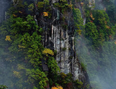 水墨画みたいな『写真』　奈良県の景色に「すごすぎる」「ドラゴンボールみたい」