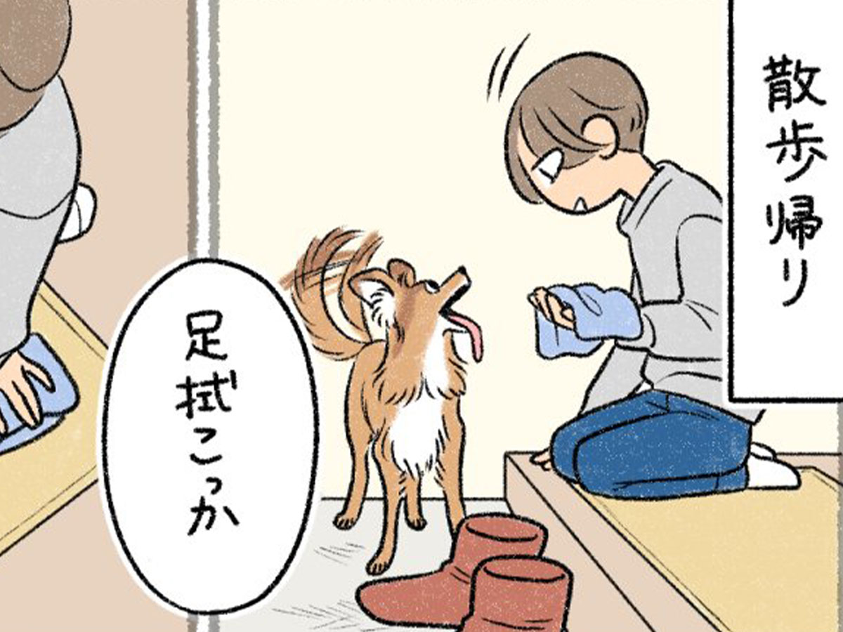 さかぐちまやさんの漫画の画像