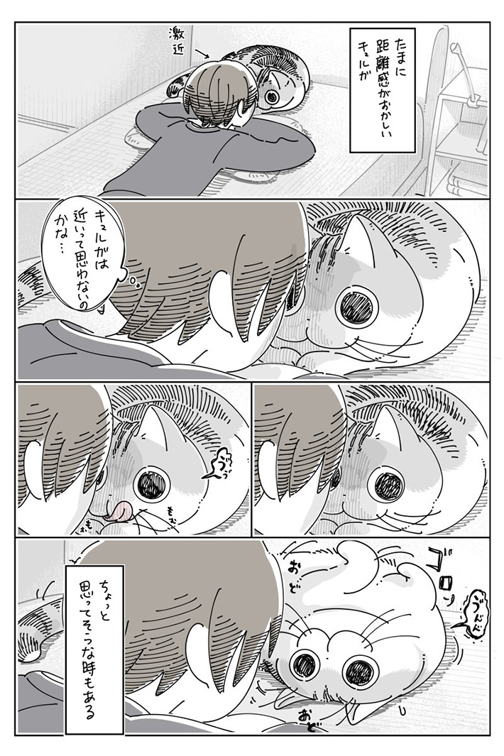 キュルZさんの漫画