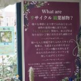 店内に貼られた「What are リサイクル観葉植物」