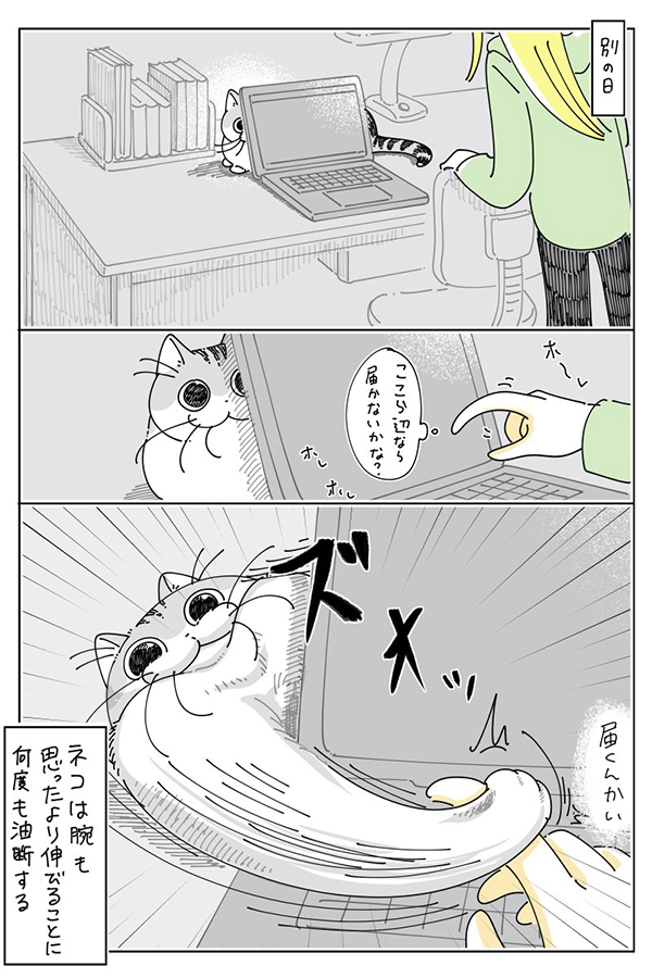 キュルガの漫画