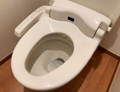 ウォシュレットのノズルは掃除するべき？　怠ると…　「そんな大事になるとは」