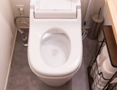 蓋が開いたトイレの便器