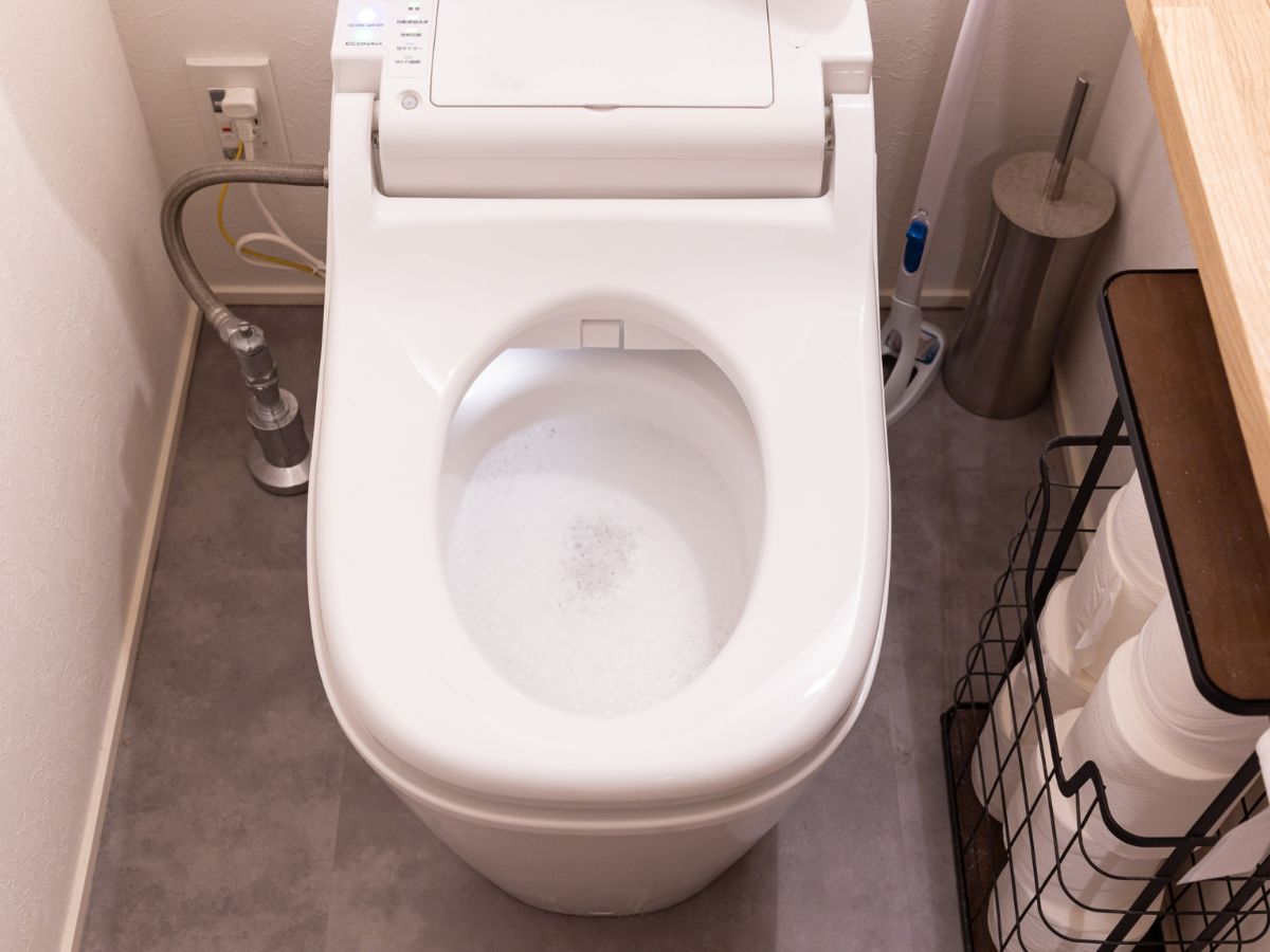 蓋が開いたトイレの便器