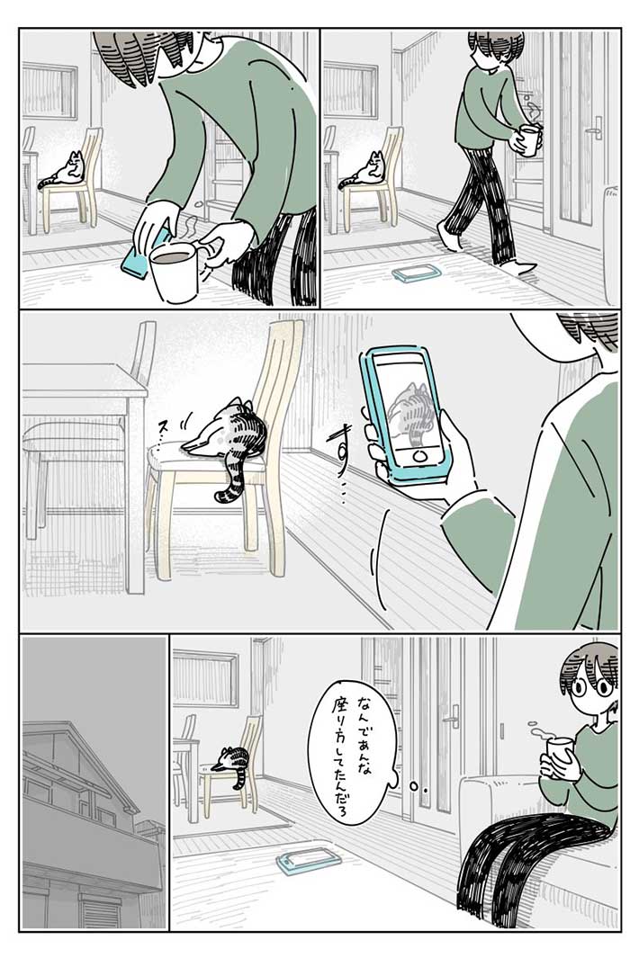 猫の漫画