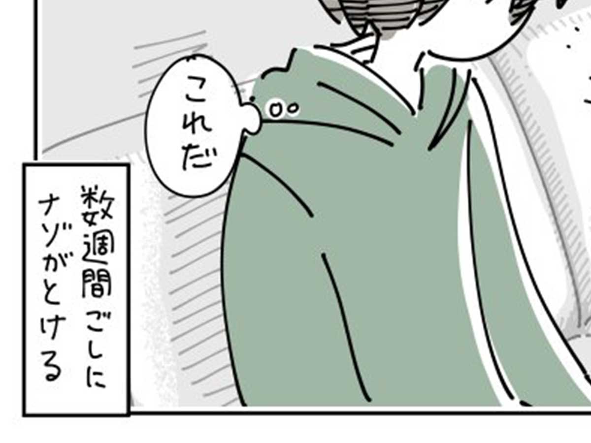 猫の漫画