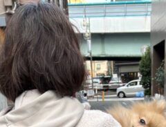 散歩中、母親に抱っこしてもらえた愛犬　飼い主に見せた表情に爆笑！