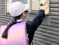 秋田犬と小学生の写真