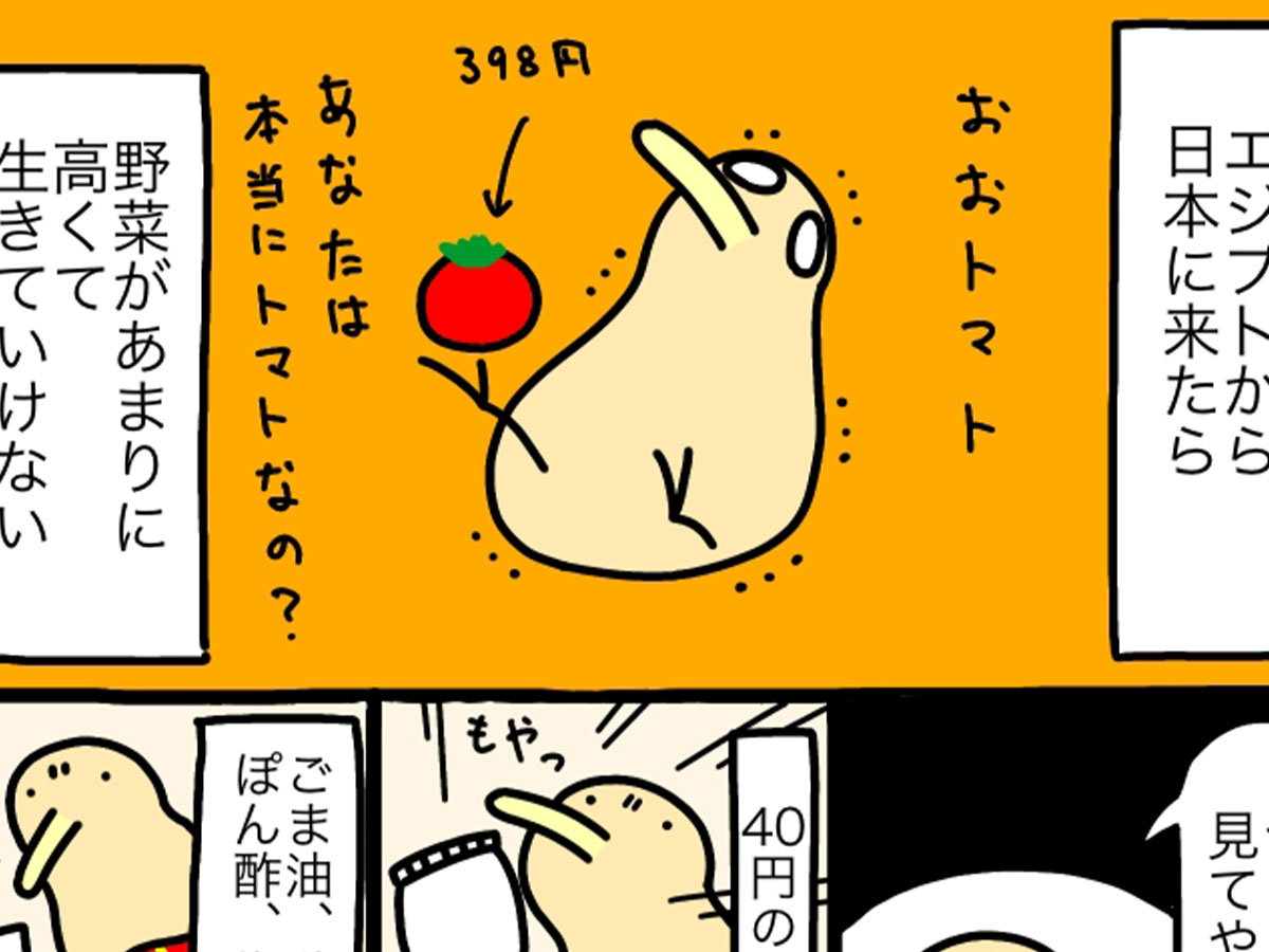 ジャスティン（@Justin_ocarina）さんの漫画の画像