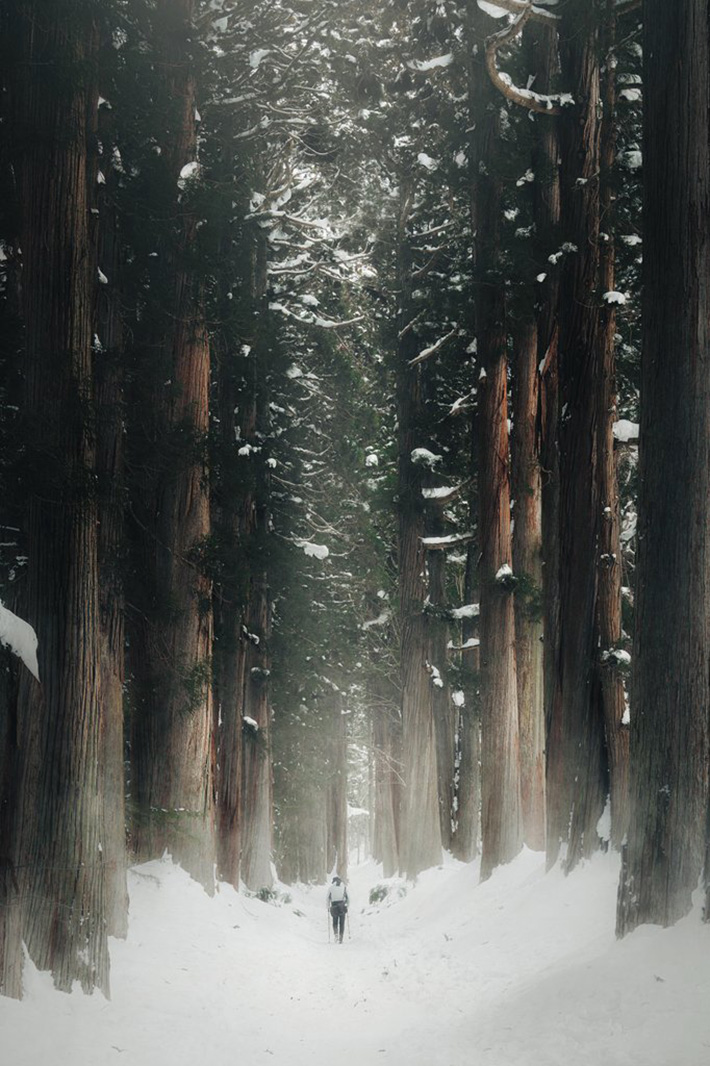 長野の神社の風景