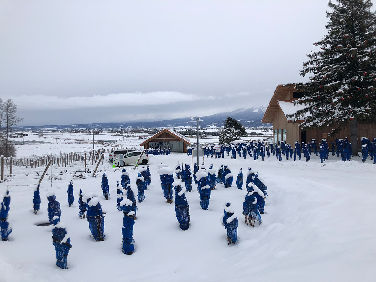 北海道の写真