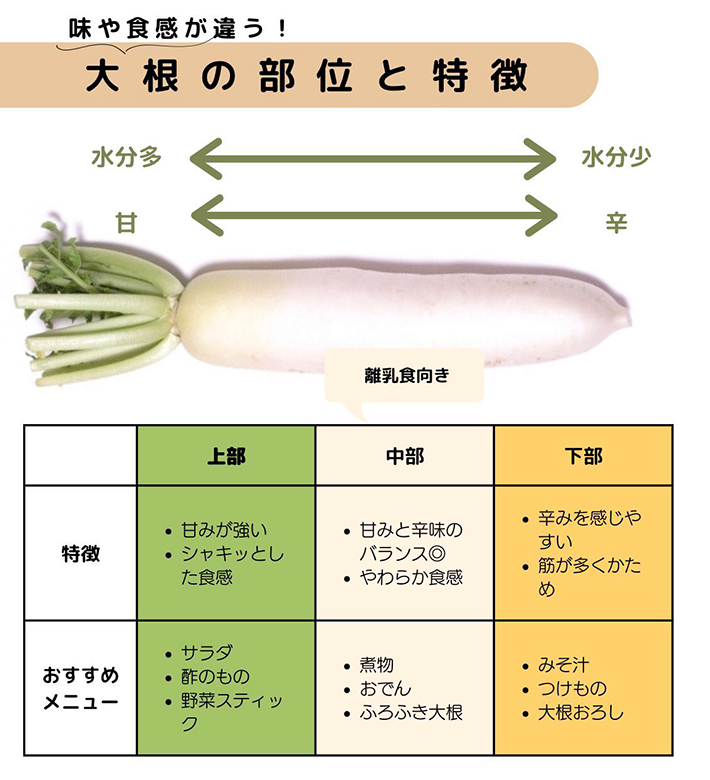 ダイコンの一覧表