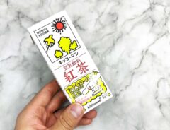 キッコーマン『豆乳飲料 紅茶』の写真