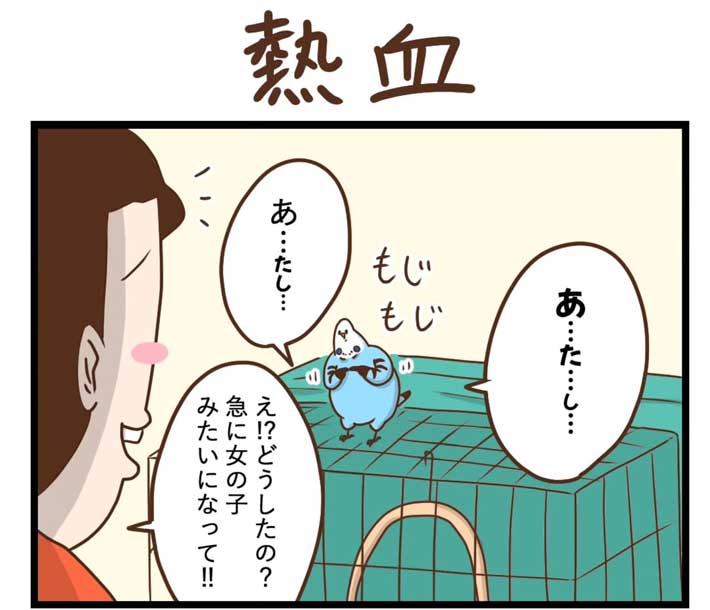 タクセニョリータさんの漫画