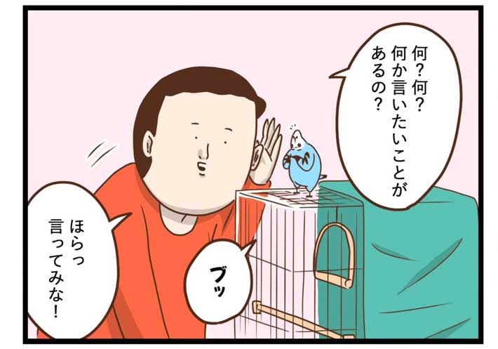 タクセニョリータさんの漫画