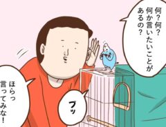 タクセニョリータさんの漫画