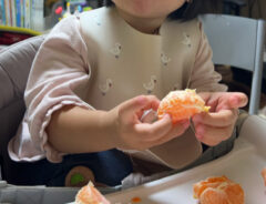 ミカンを食べる子供の写真