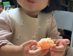 ミカンを食べる子供の写真