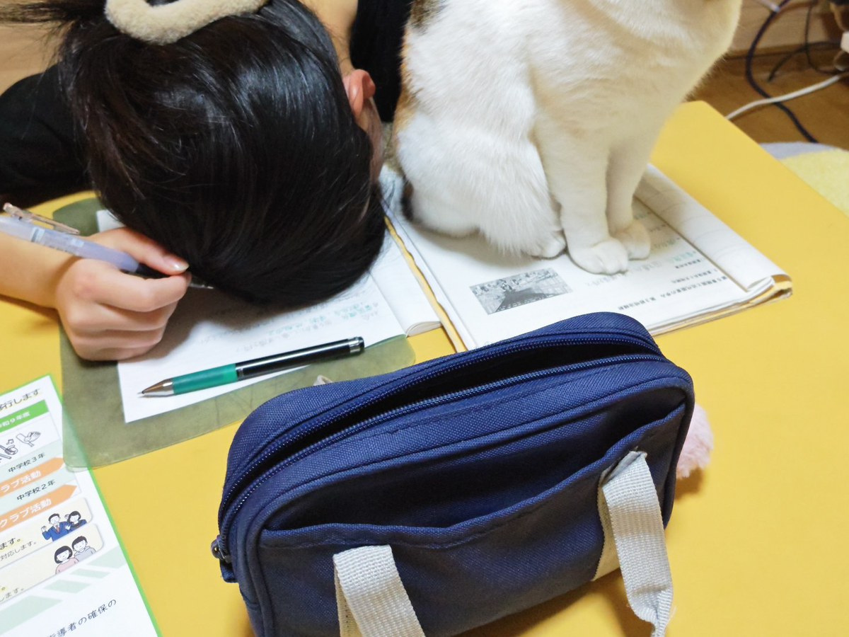 こたつに入る中学生と猫の写真