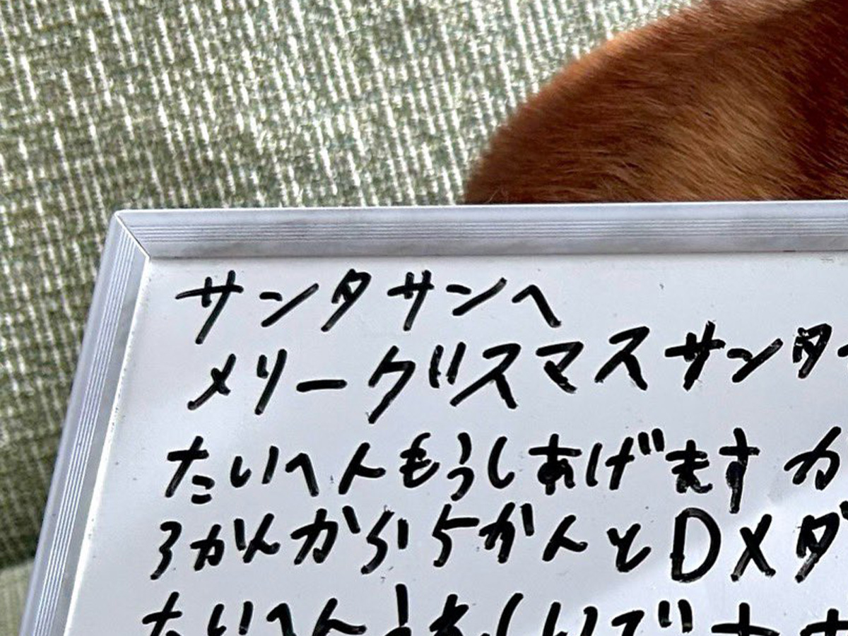 息子が書いたサンタへのメッセージの写真