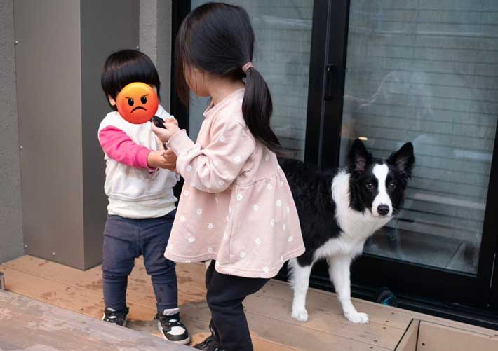 姉弟と犬の写真