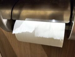 「トイレットペーパーでサッと拭く」はNGだった？　トイレの要注意行動に「驚き」