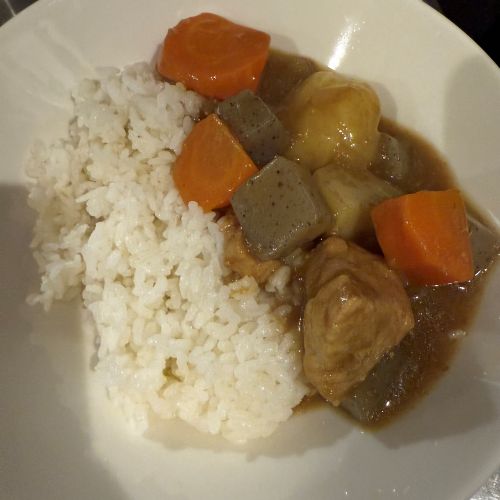 こんにゃくの入ったカレーとごはんを皿に盛りつけた様子