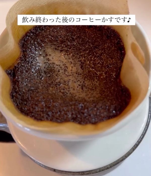 コーヒーフィルターに溜まったコーヒーのかすの写真