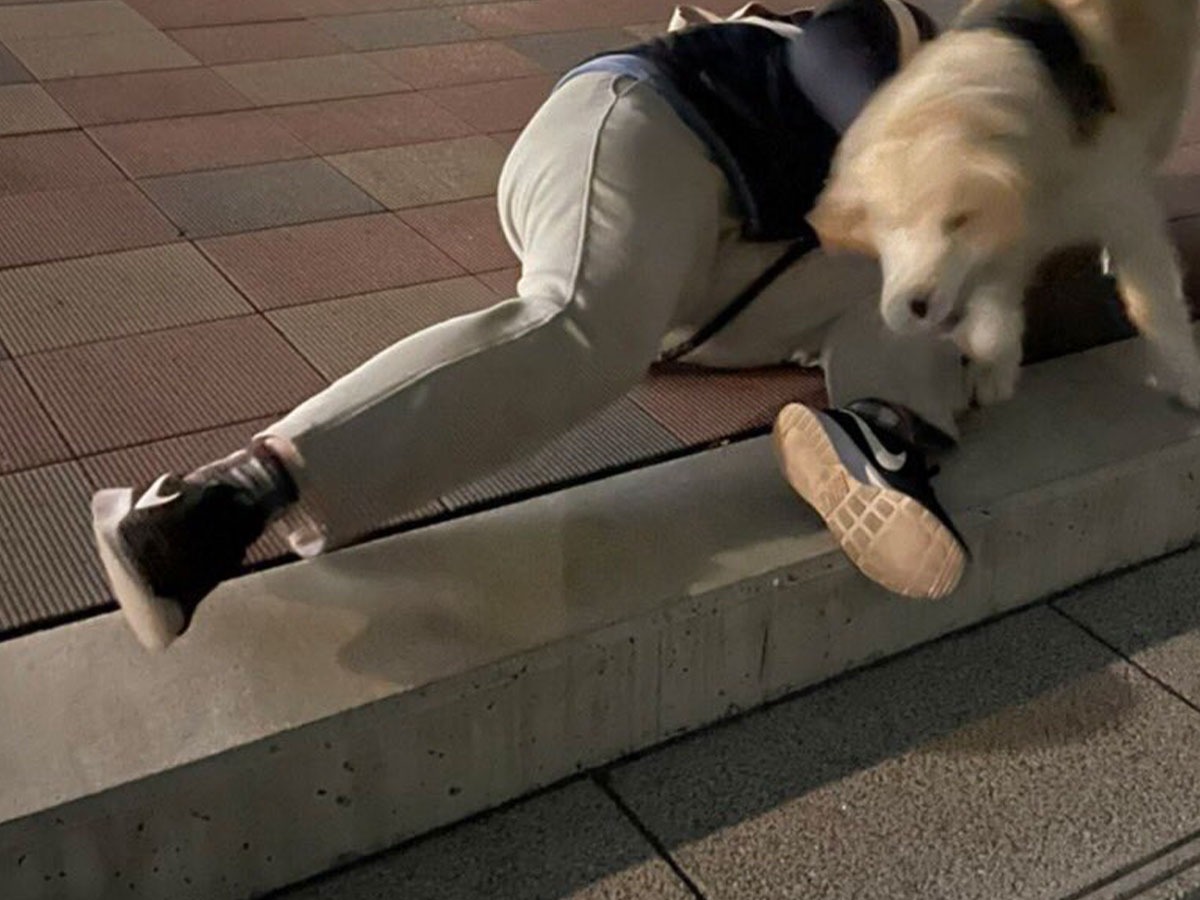 転んだ飼い主と犬の姿