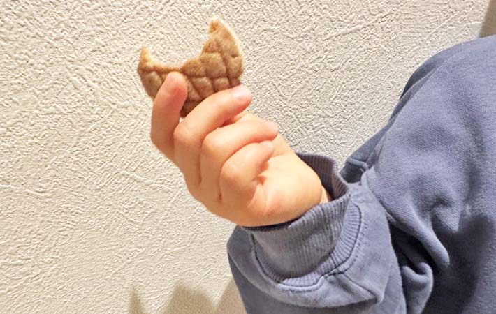 『食パンメロンパン』の完成写真