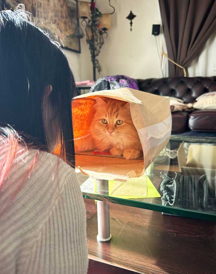 猫と妻の写真