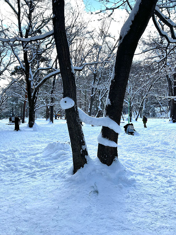 ヘビの雪像の写真