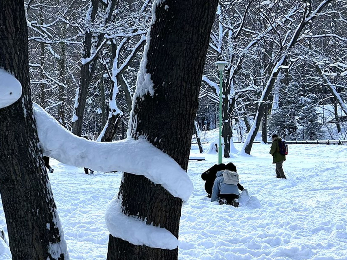 ヘビの雪像の写真