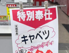 「これは驚く」「もはや肉じゃん」　スーパーのキャベツを見て、男性が衝撃を受けたワケとは？