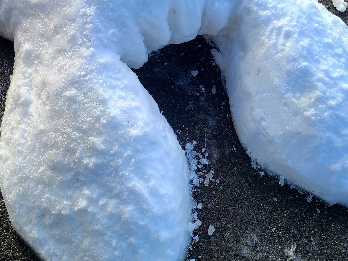 イカの雪像