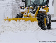 雪国の写真