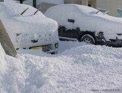 雪国の写真