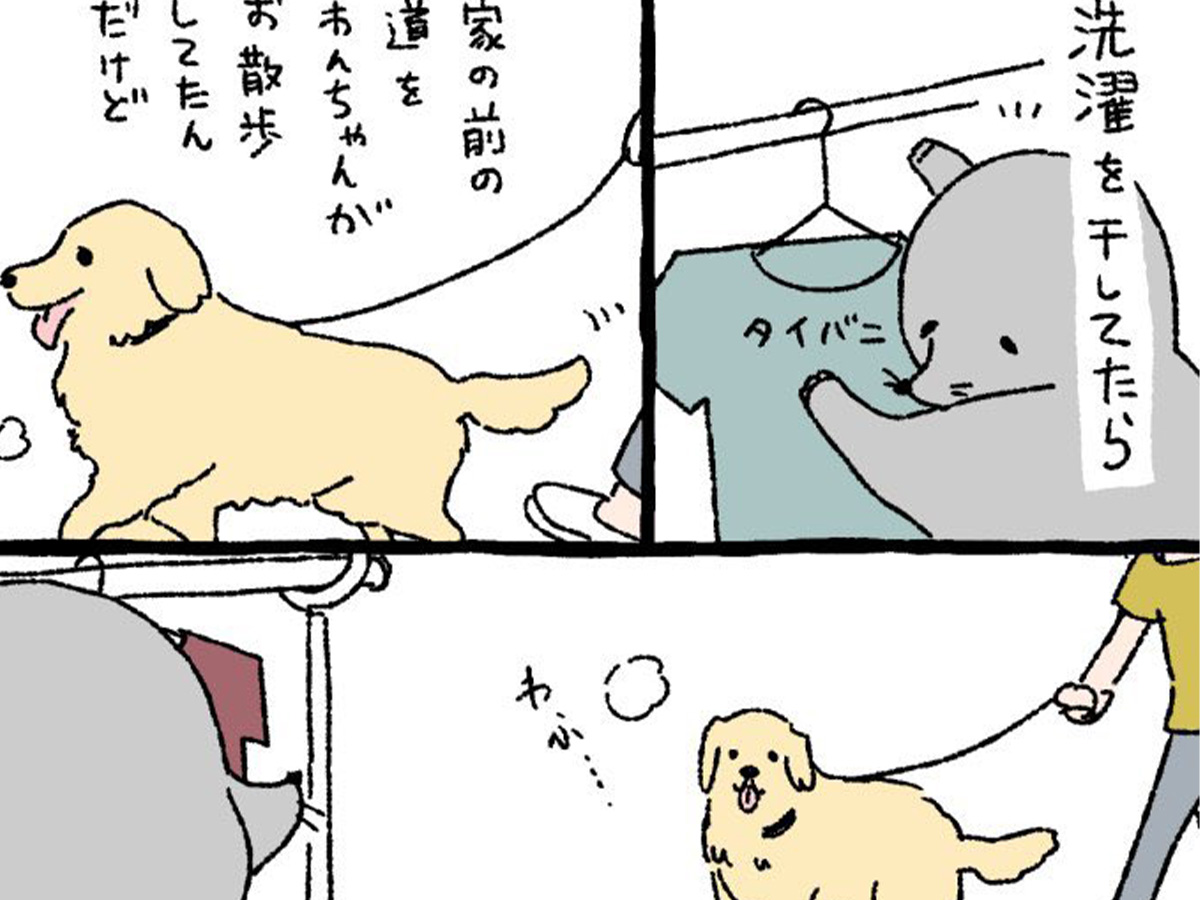 水モグラ（@mogu_ra_ws）さんの漫画