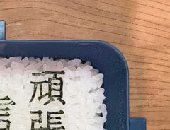 お弁当の画像